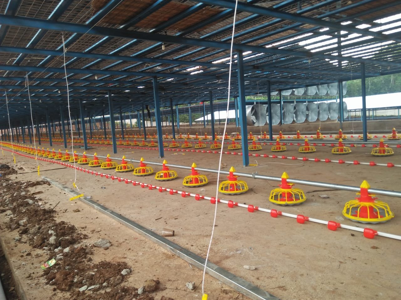 MEMAHAMI KANDANG CLOSE HOUSE – KANDANG CLOSE HOUSE MODERN